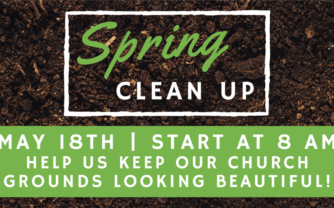 Spring Clean Up