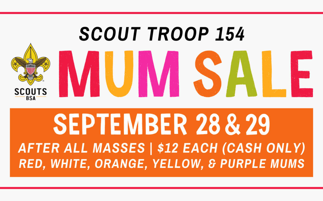 Scout Troop 154 Mum Sale