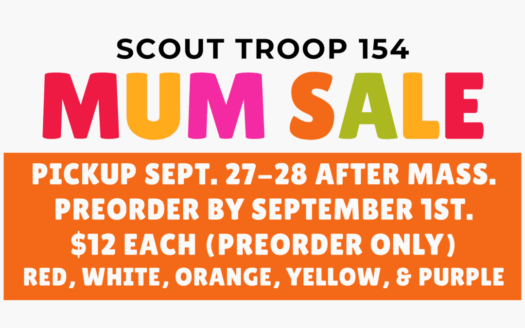 Scout Troop 154 Mum Sale
