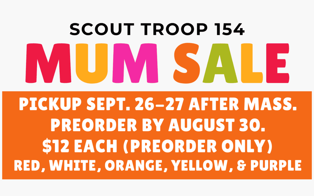 Scout Troop 154 Mum Sale