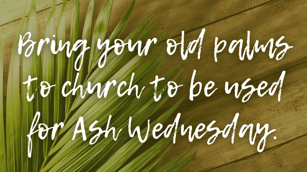 Bring in Old Palms for Ash Wednesday