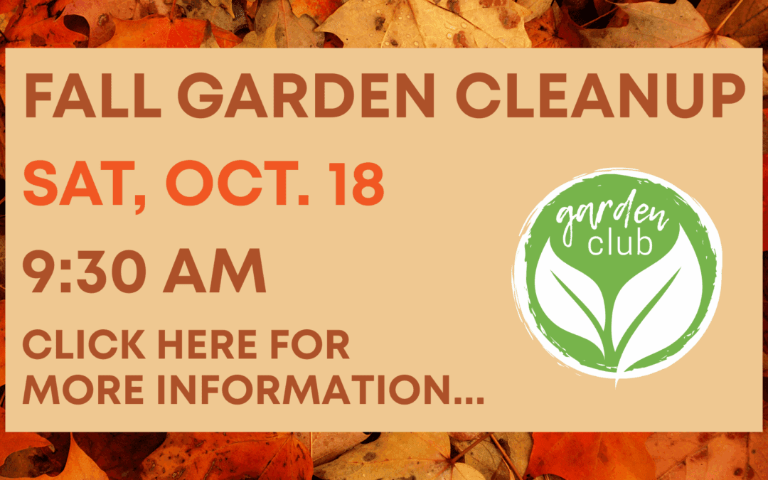 Fall Garden Cleanup