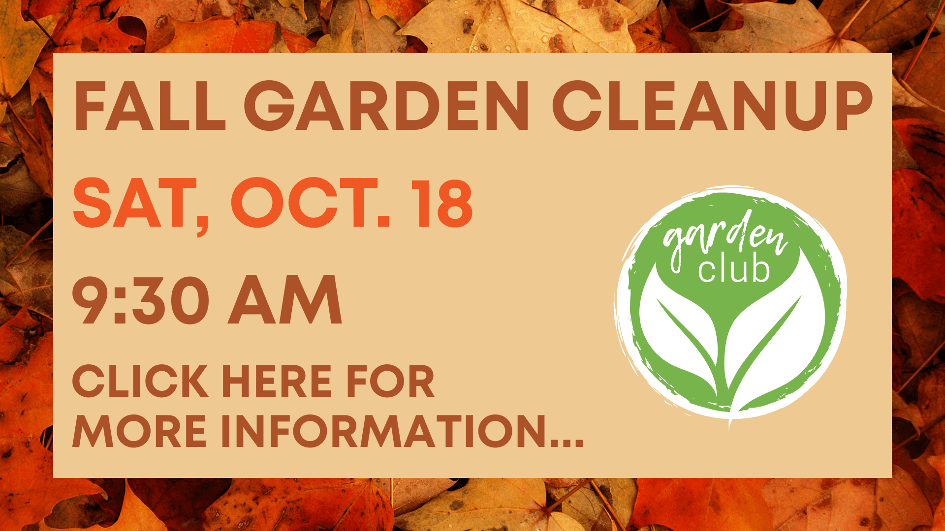 Fall Garden Cleanup